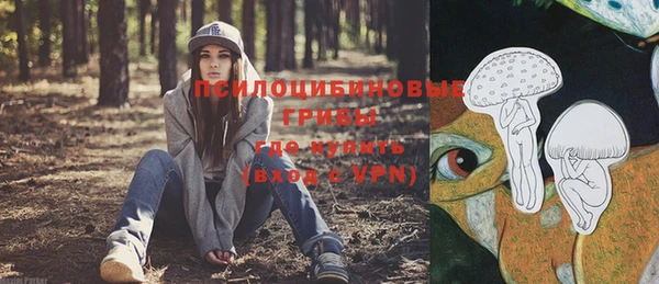 герыч Козельск