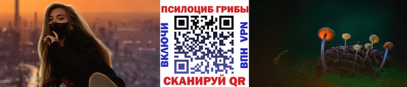 Купить где  Калтан  Псилоцибиновые грибы мухоморы 