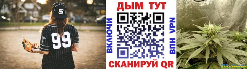 Купить где  Калтан  Каннабис SATIVA & INDICA 